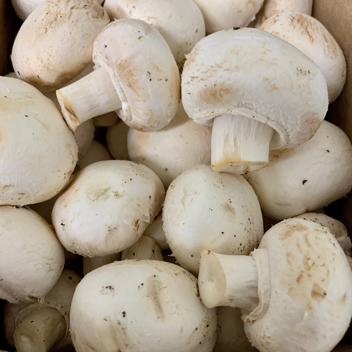White Mushrooms (227g)
