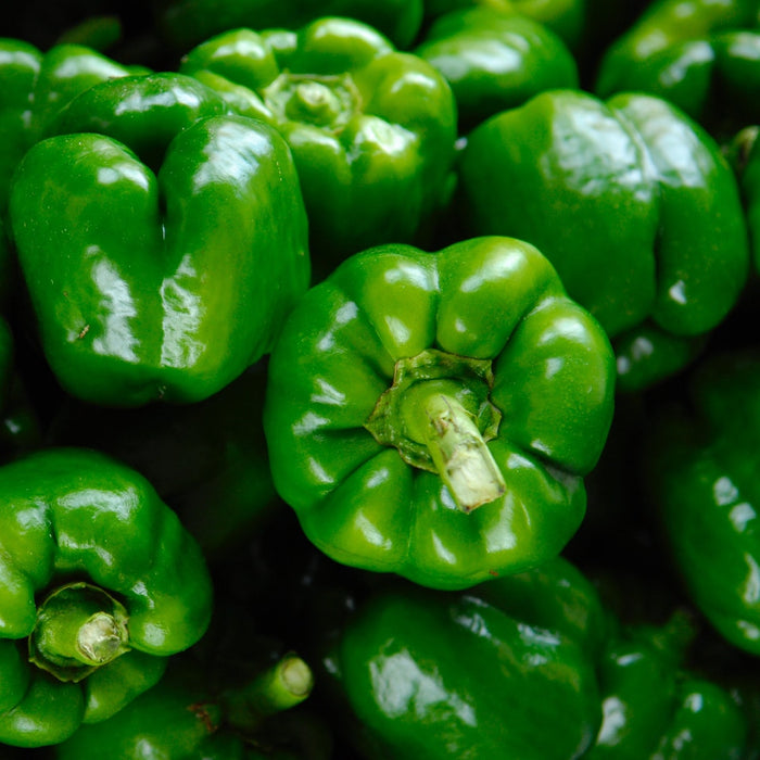 Green Peppers (1lb)