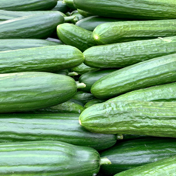 Cucumber (ea)