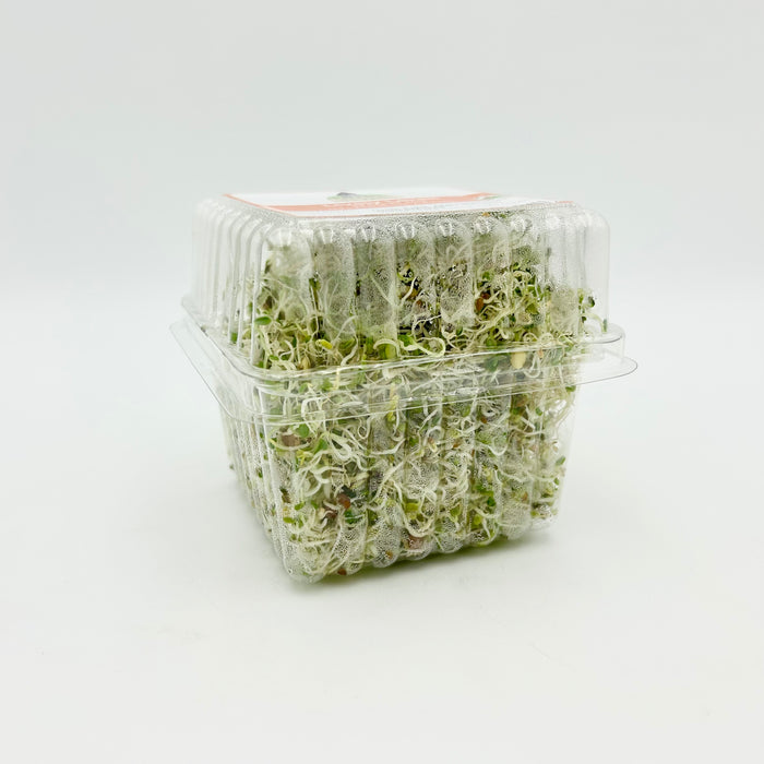 Greens of Haligonia Lively Lentil Sprout Mix (organic)