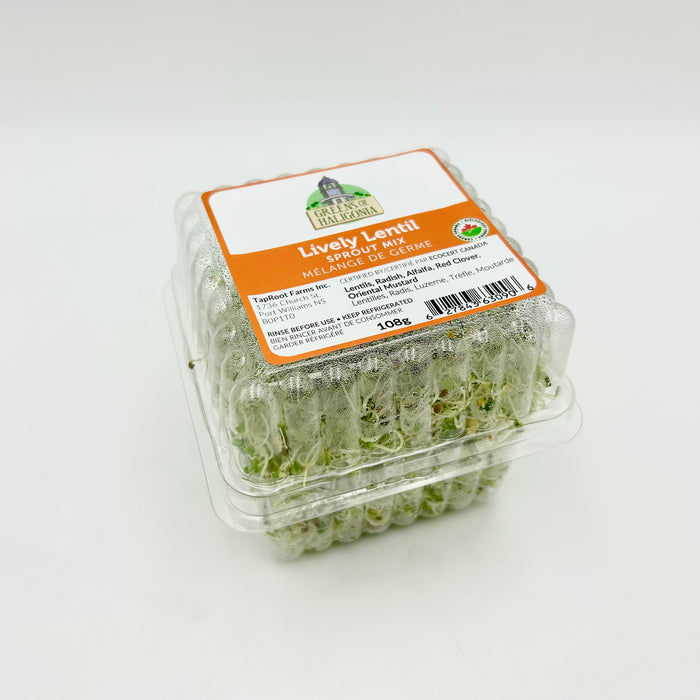 Greens of Haligonia Lively Lentil Sprout Mix (organic)