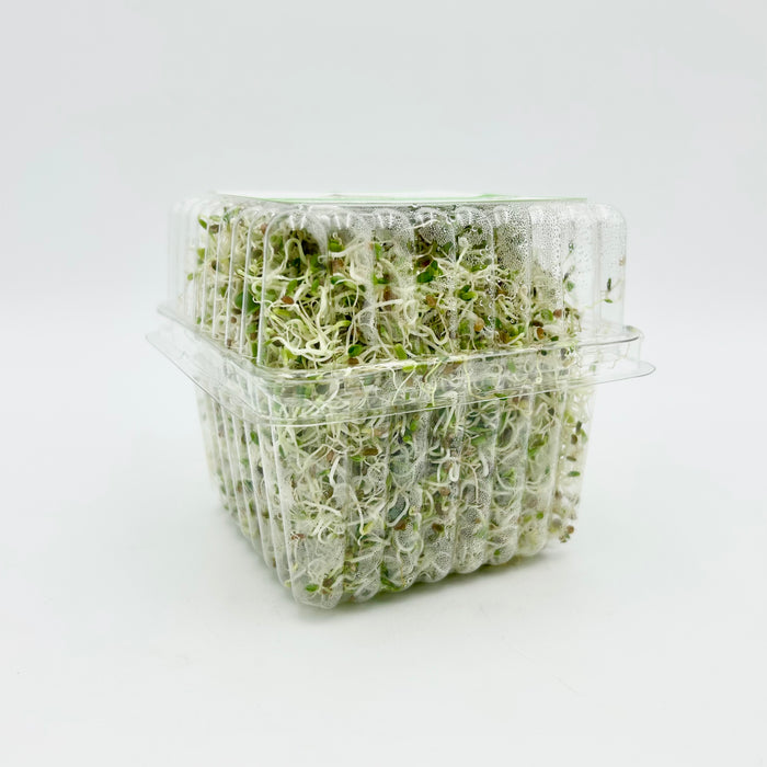Greens of Haligonia Sandwich Booster Sprout Mix (organic)