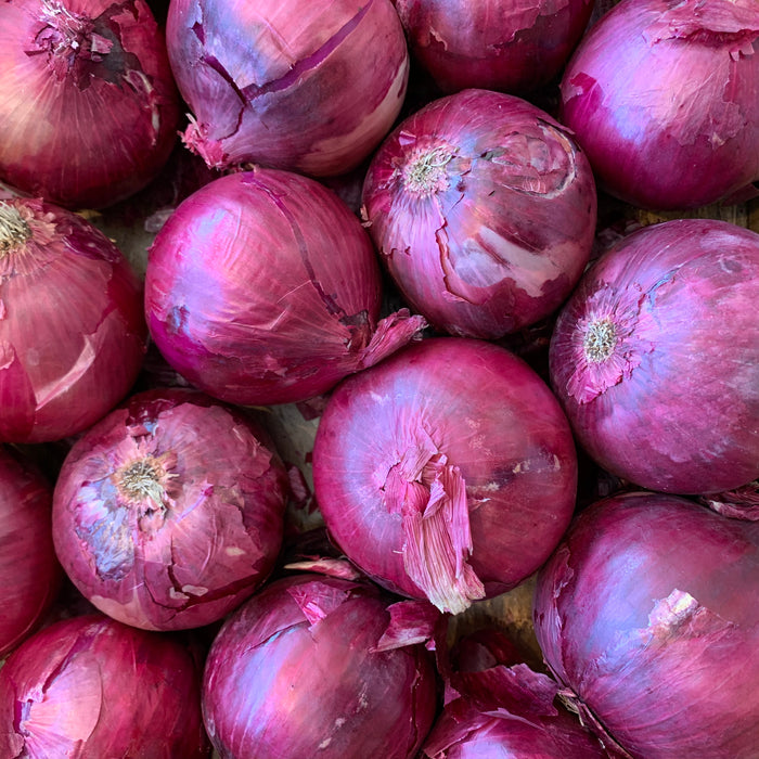 Red Onion (2lb)