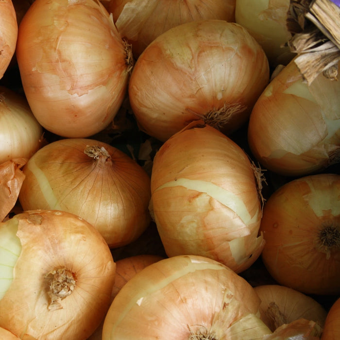 Yellow Onions (2lb)